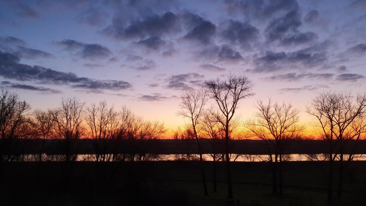 An Den Elbwiesen Gz Fewo Elbeblick Nur Nichtraucher Dommitzsch ภายนอก รูปภาพ