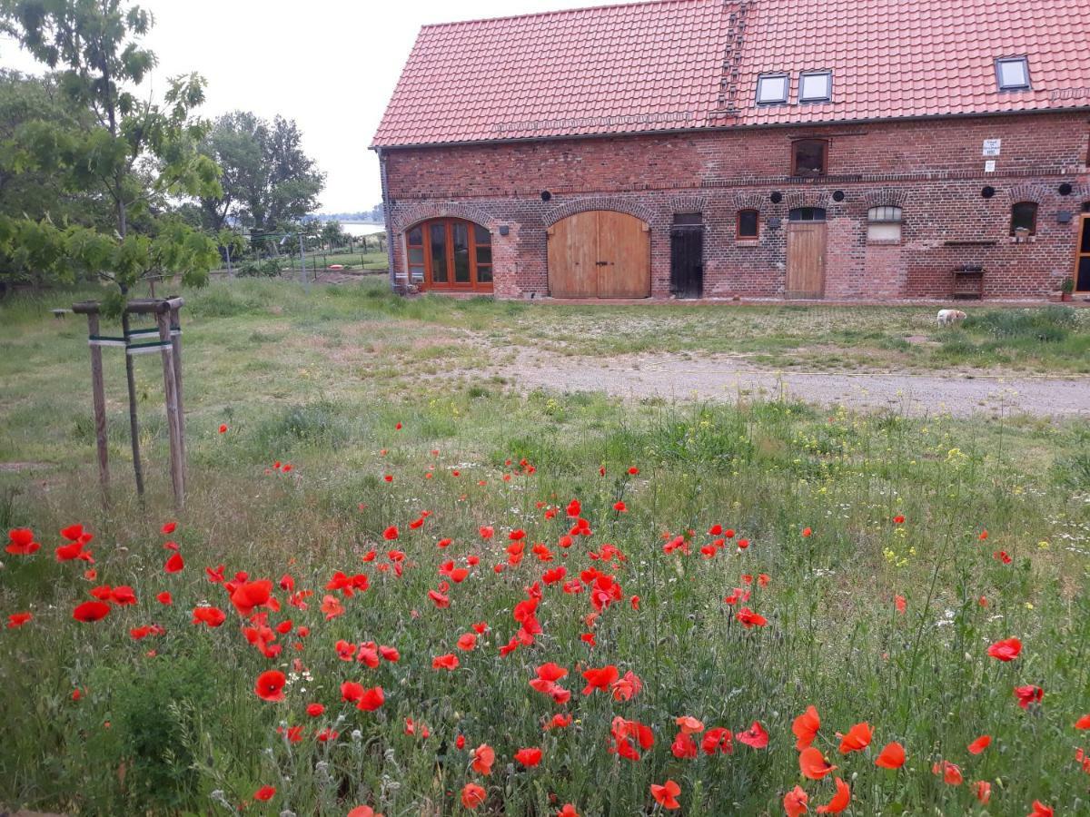 An Den Elbwiesen Gz Fewo Elbeblick Nur Nichtraucher Dommitzsch ภายนอก รูปภาพ